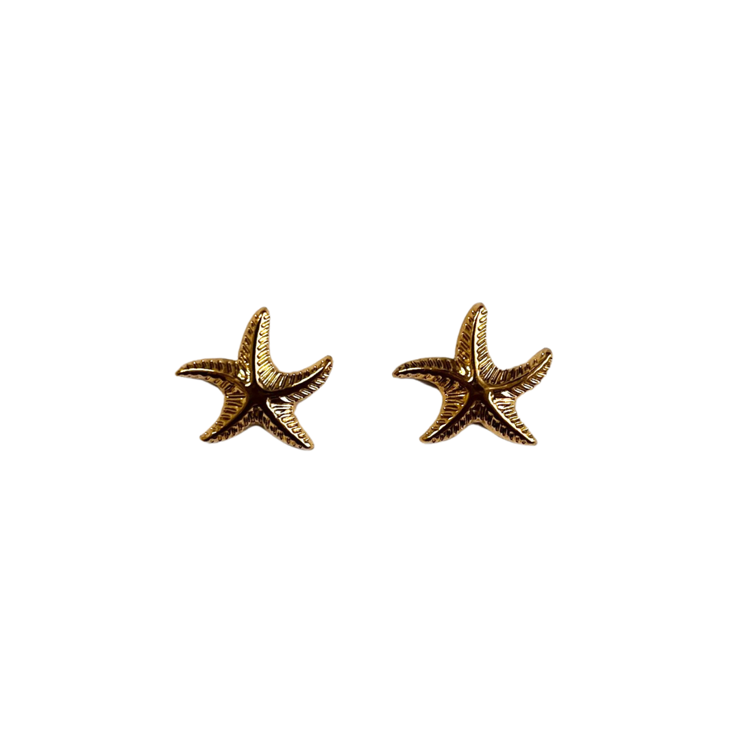 AQUAMARINE - Earrings