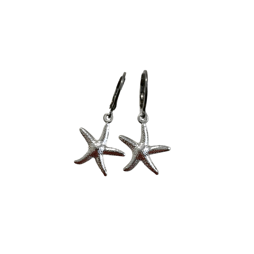 ASTERIAS - Earrings - Argent